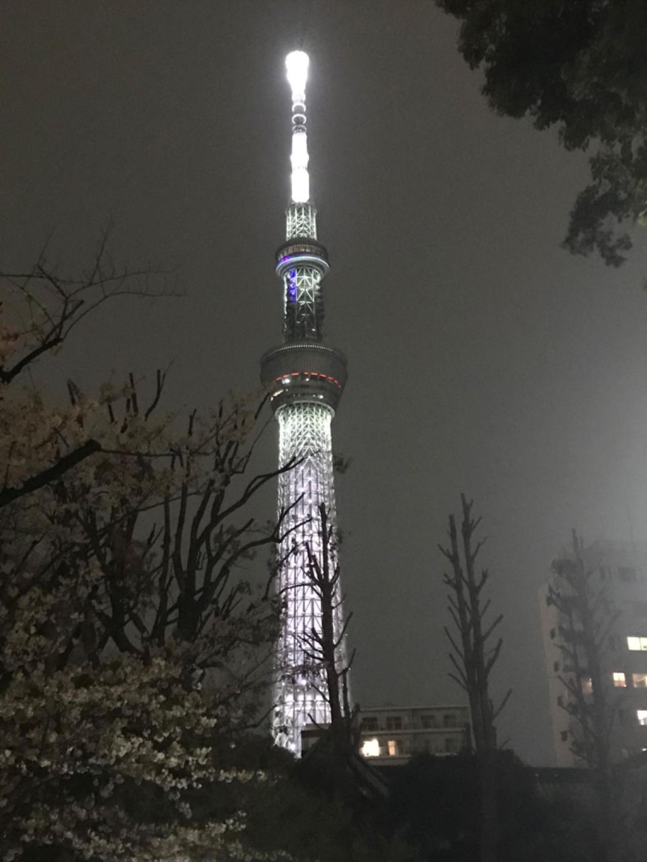Sky Tree Inn طوكيو المظهر الخارجي الصورة