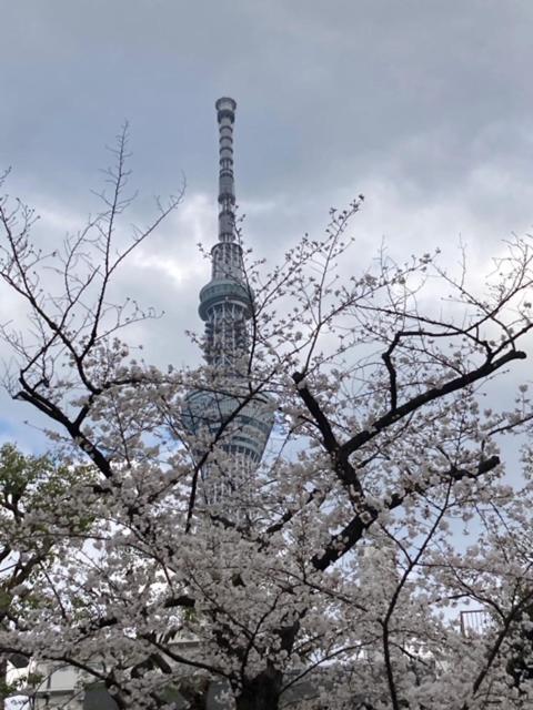Sky Tree Inn طوكيو المظهر الخارجي الصورة